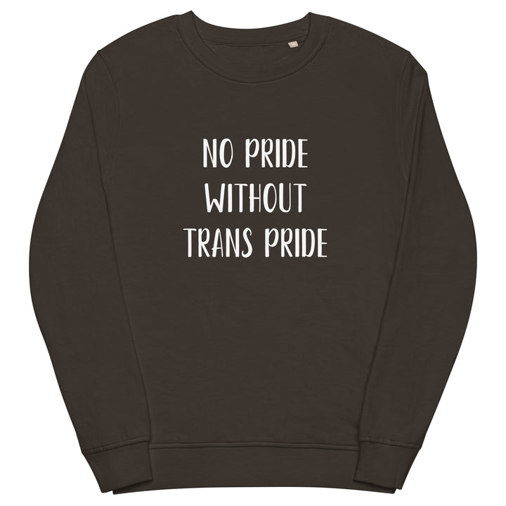 No Pride Without Trans Pride Organic Sweatshirt Sweatshirts SOL's The Rainbow Stores