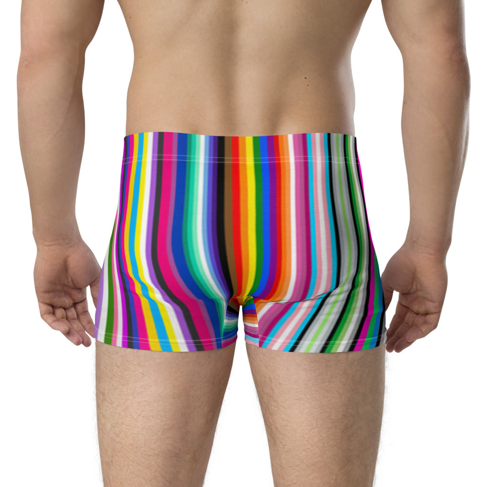 LGBTQ+ Pride Flag Barcode Boxer Briefs Underwear The Rainbow Stores