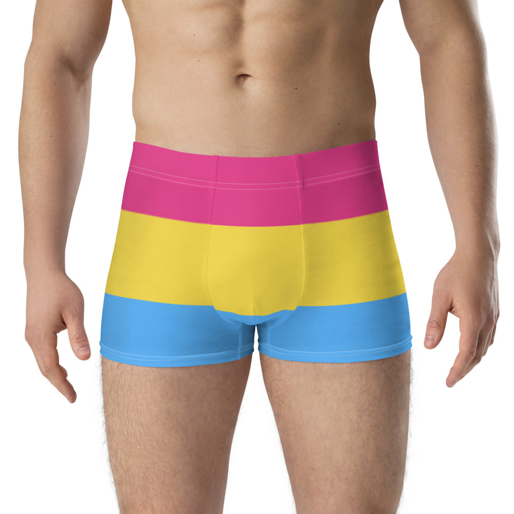 Pansexual Pride Flag Boxer Briefs