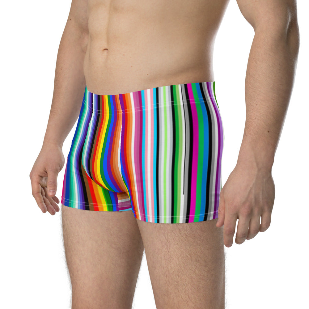 LGBTQ+ Pride Flag Barcode Boxer Briefs Underwear The Rainbow Stores