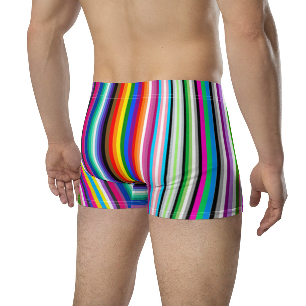 LGBTQ+ Pride Flag Barcode Boxer Briefs Underwear The Rainbow Stores