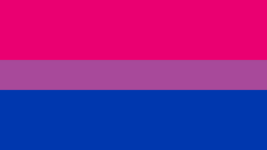 A bisexual pride flag 