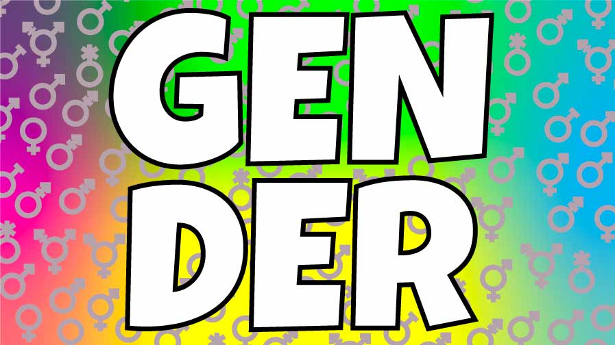 A what is gender banner with graduated pink to blue colour and gender icons spead over it and the word gender written across the centre