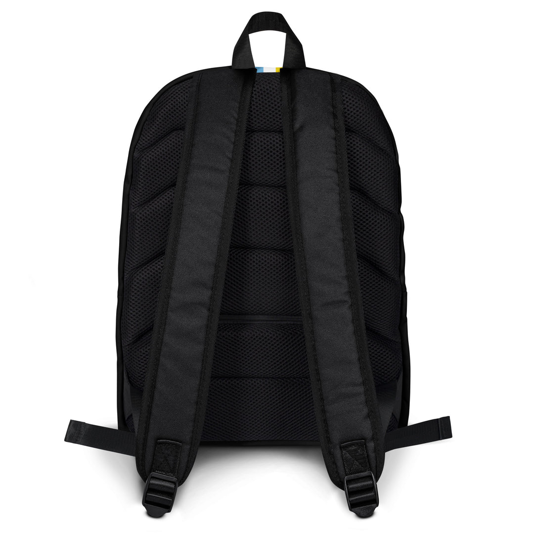 AroAce Pride Stripe Backpack Bags The Rainbow Stores