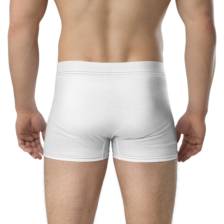 Pansexual Pride Flag Side Stripe Fade White Boxer Briefs Underwear The Rainbow Stores