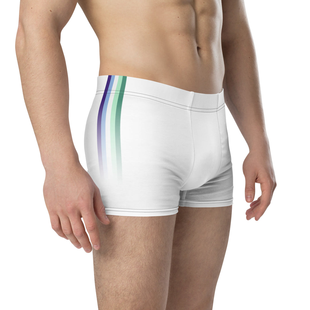 Gay Men's Pride Flag Side Stripe Fade White Boxer Briefs Underwear The Rainbow Stores