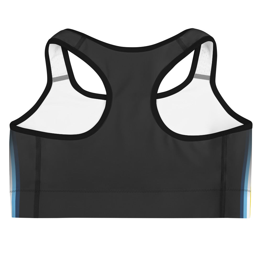 Aroace Pride Flag Side Fade Sports Bra Sports Bras The Rainbow Stores