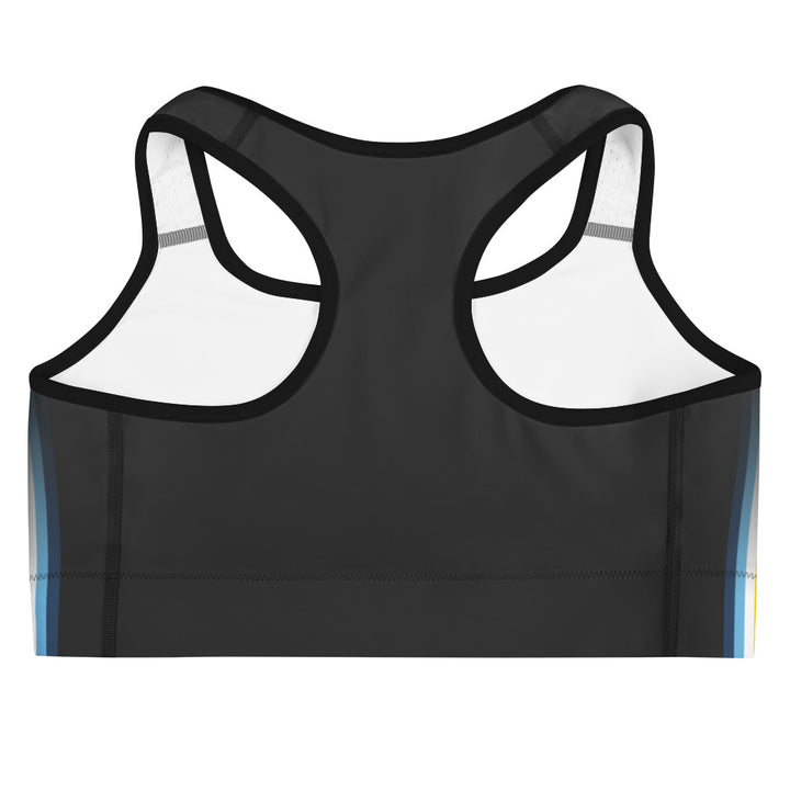 Aroace Pride Flag Side Fade Sports Bra Sports Bras The Rainbow Stores