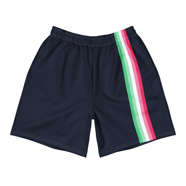 Abrosexual Pride Flag Stripe Blue Athletic Long Shorts Shorts Long The Rainbow Stores