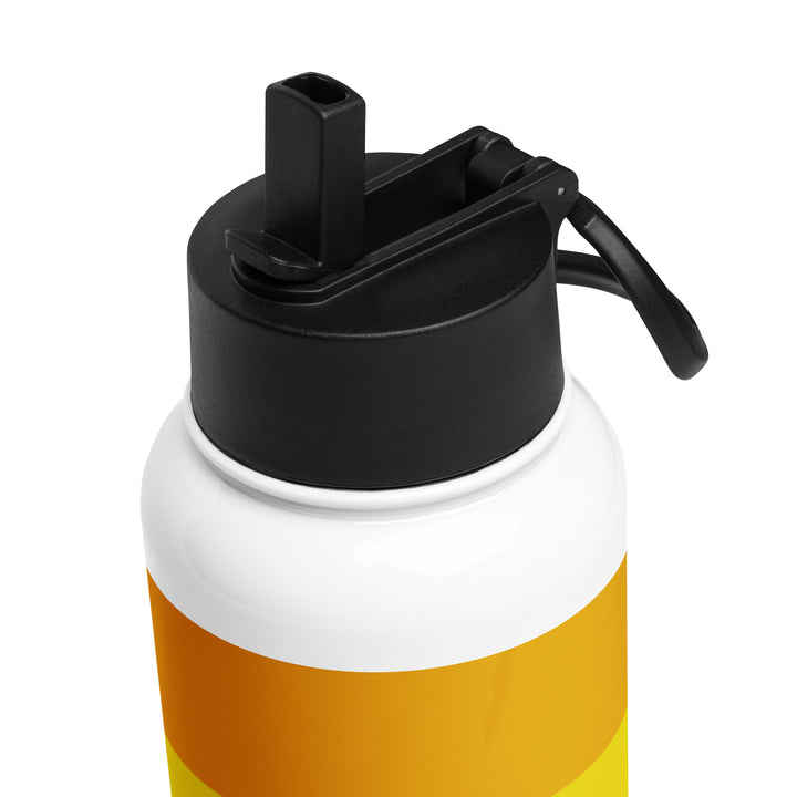 AroAce Stainless Steel Water Bottle Water Bottle The Rainbow Stores