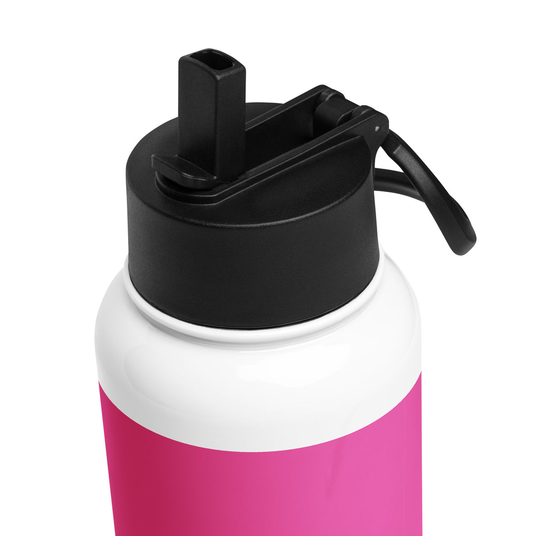 Pansexual Pride Flag Stainless Steel Water Bottle Water Bottle The Rainbow Stores