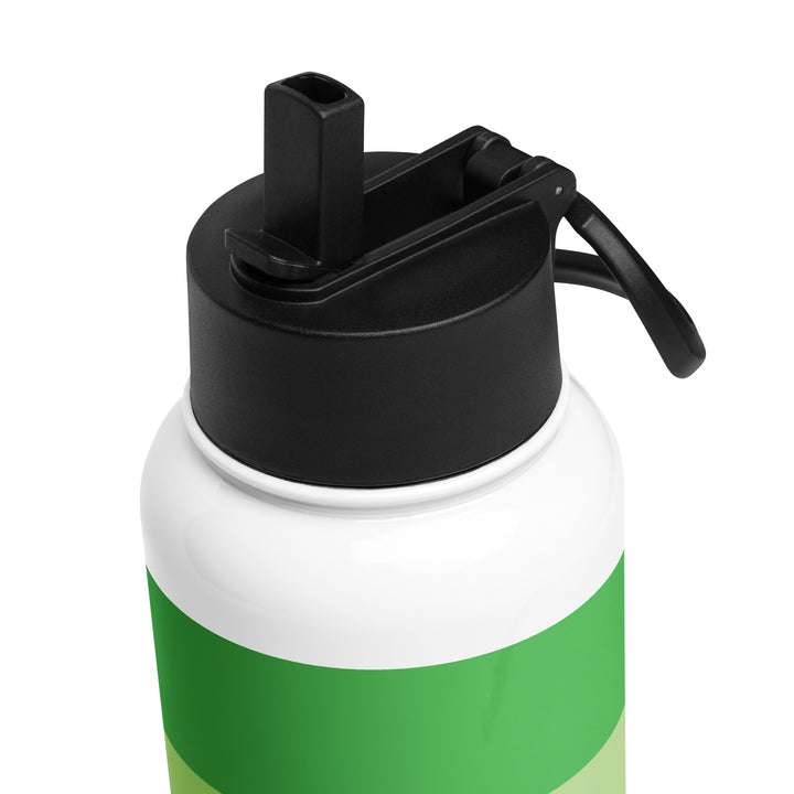 Aromantic Pride Flag Stainless Steel Water Bottle