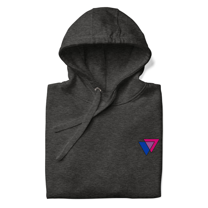 Bisexual Biangles Hoodie The Rainbow Stores