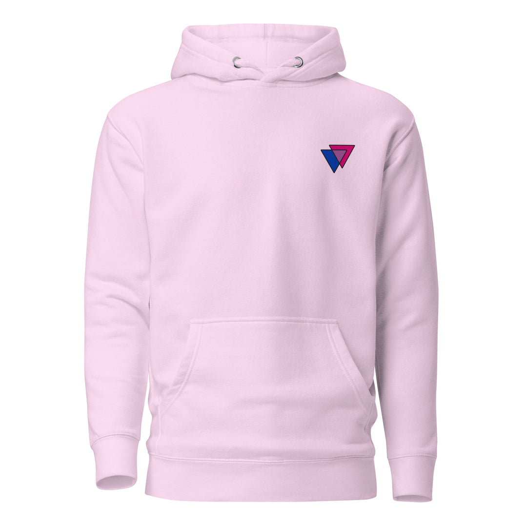 Bisexual Biangles Hoodie The Rainbow Stores