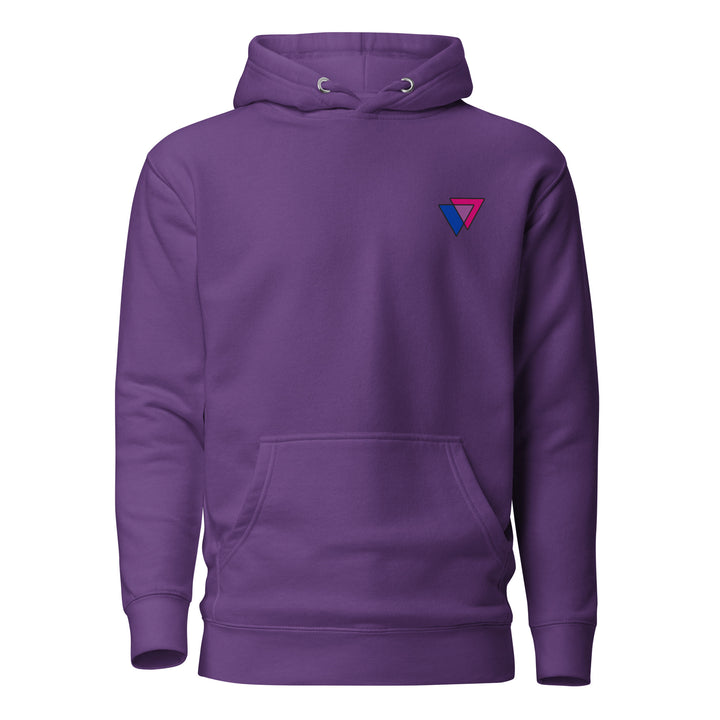 Bisexual Biangles Hoodie The Rainbow Stores
