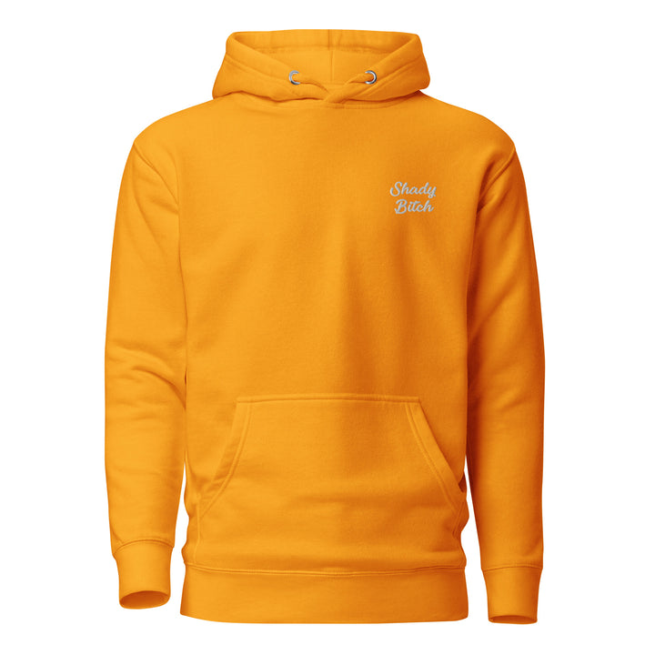 Embroidered Shady Bitch Hoodie Hoodies The Rainbow Stores