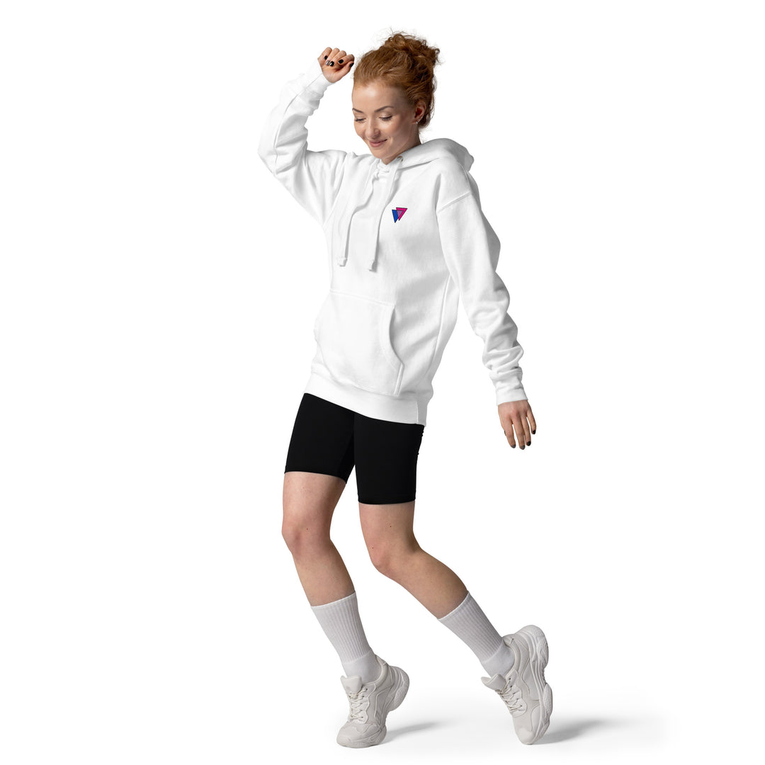 Bisexual Biangles Hoodie The Rainbow Stores