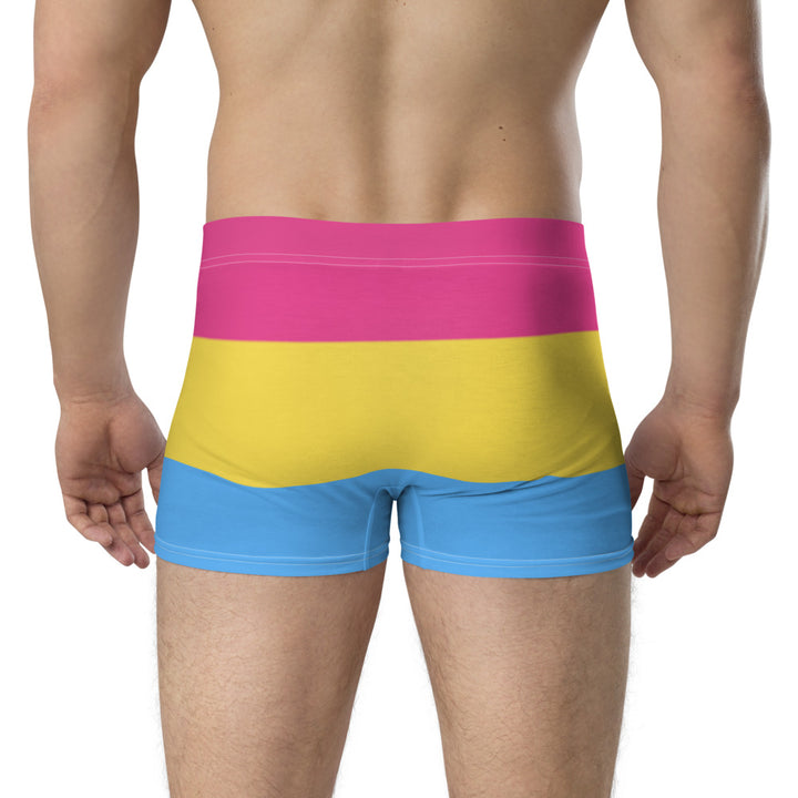 Pansexual Pride Flag Boxer Briefs Underwear The Rainbow Stores