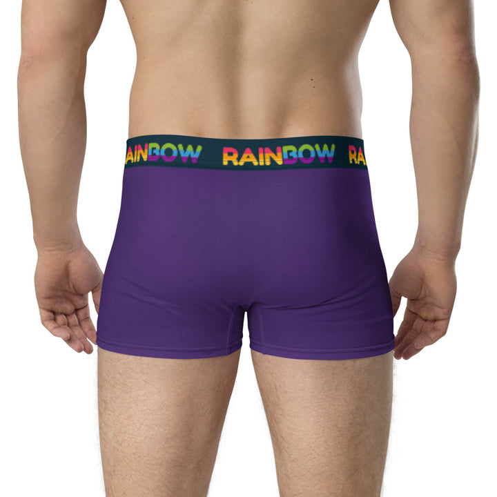 Rainbow Purple Boxer Briefs Underwear The Rainbow Stores