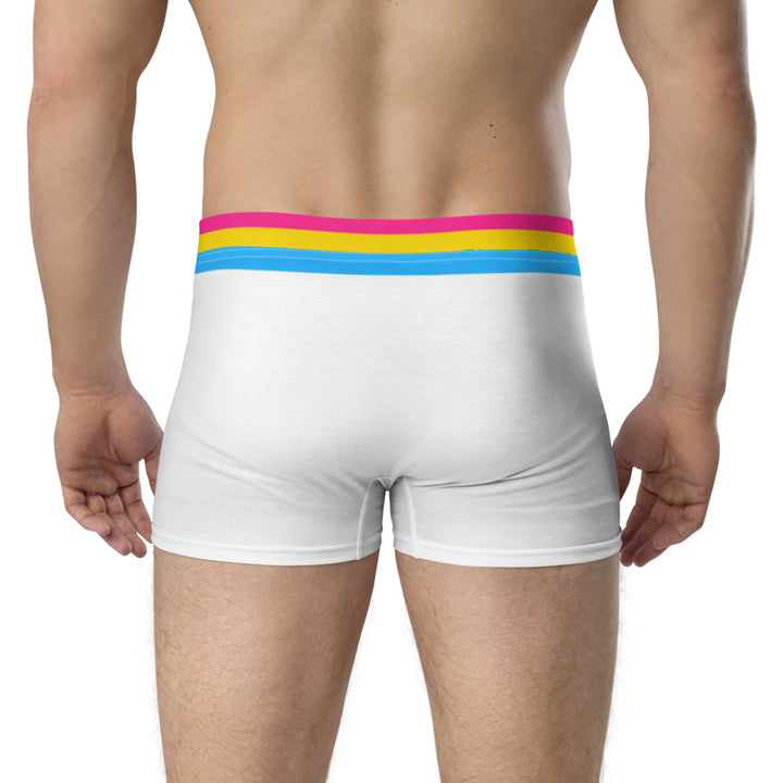 Pansexual Flag Trim Boxer Briefs Underwear The Rainbow Stores