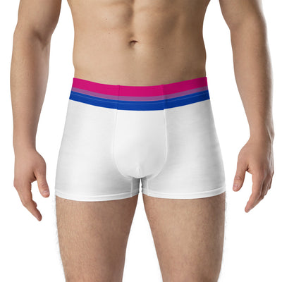 Bisexual Flag Trim Boxer Briefs Underwear The Rainbow Stores
