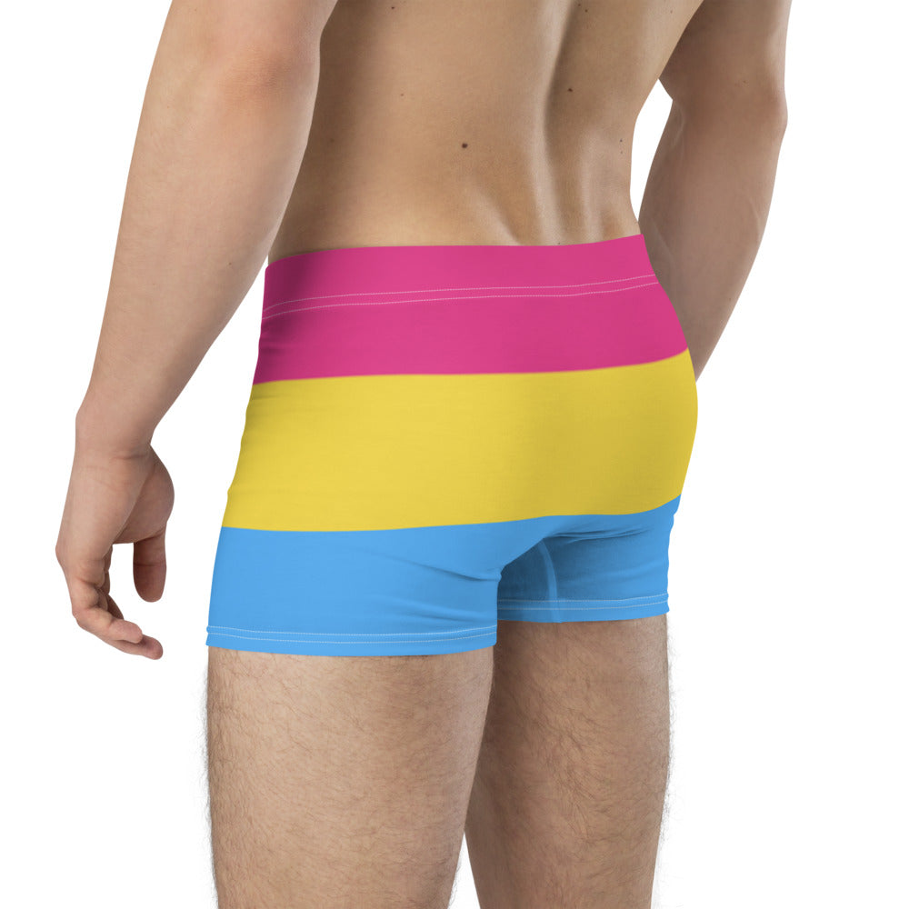Pansexual Pride Flag Boxer Briefs Underwear The Rainbow Stores
