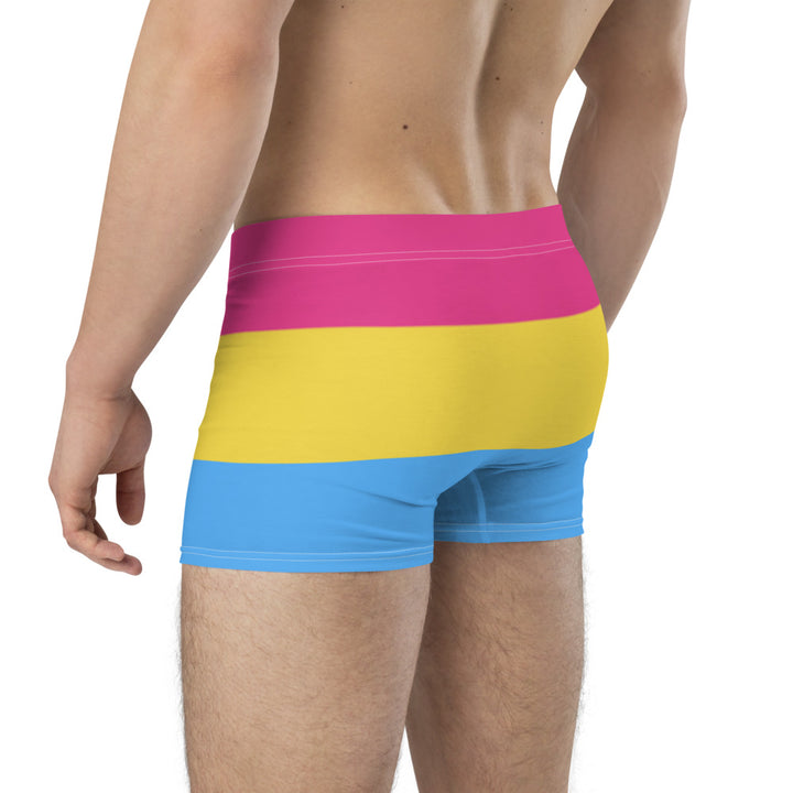 Pansexual Pride Flag Boxer Briefs Underwear The Rainbow Stores
