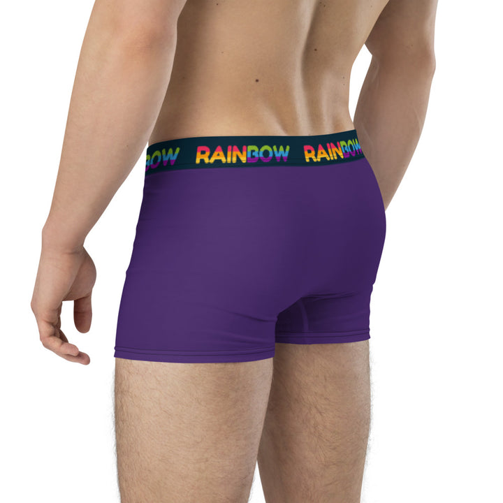 Rainbow Purple Boxer Briefs Underwear The Rainbow Stores