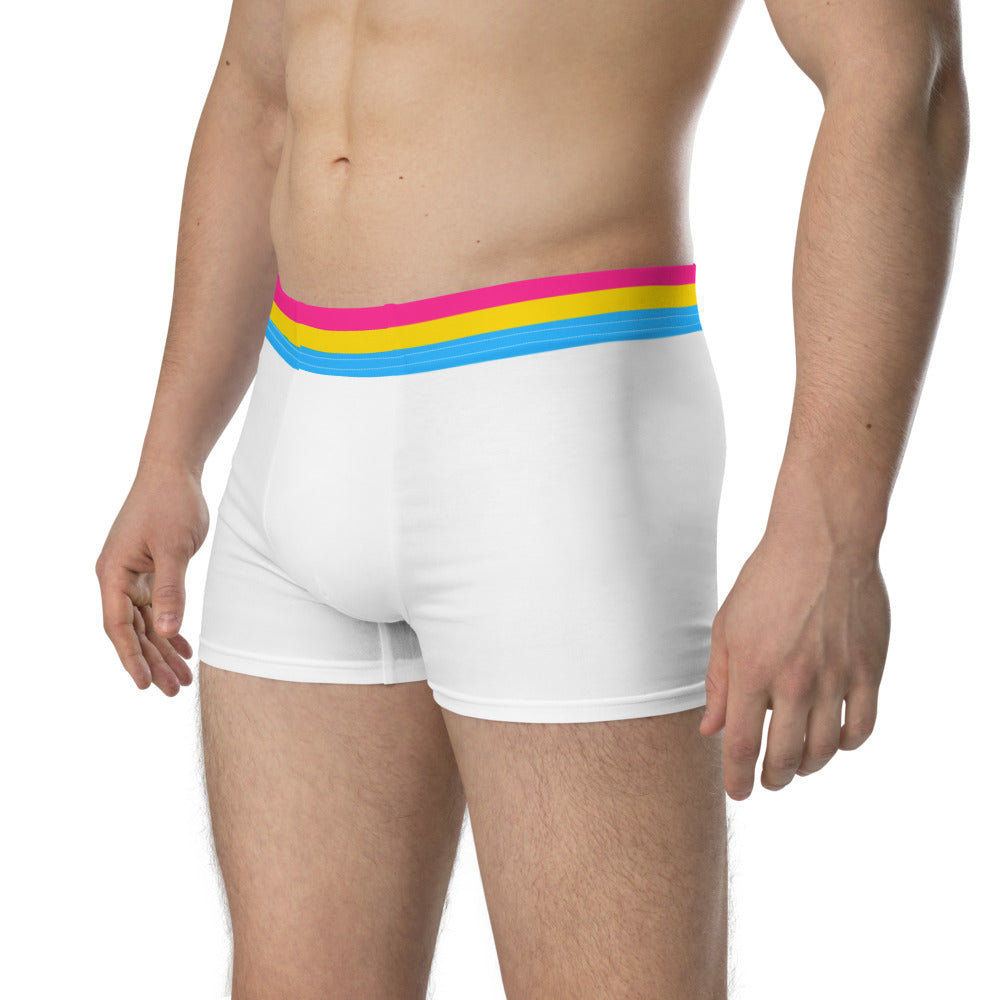 Pansexual Flag Trim Boxer Briefs Underwear The Rainbow Stores