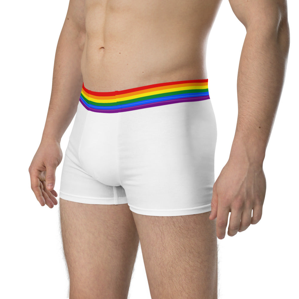 Rainbow Pride Flag Boxer Briefs1