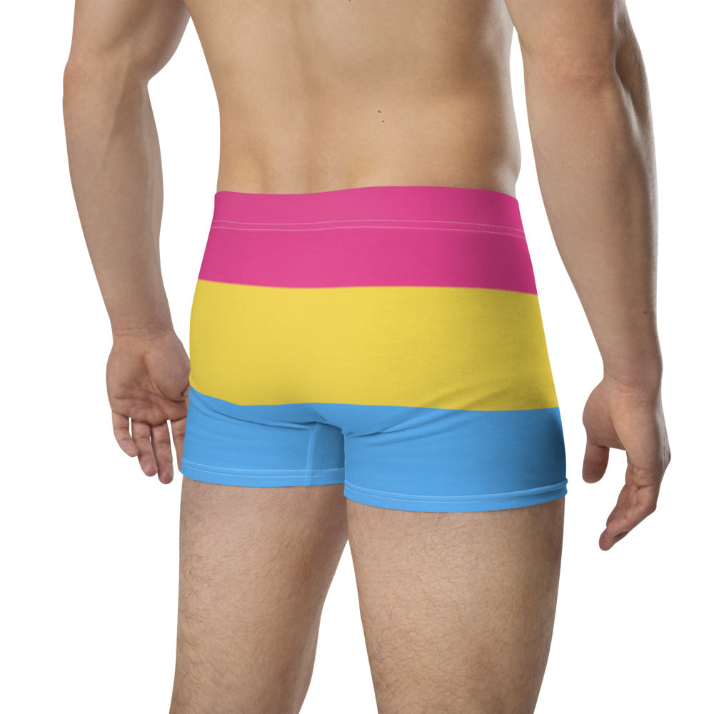 Pansexual Pride Flag Boxer Briefs Underwear The Rainbow Stores
