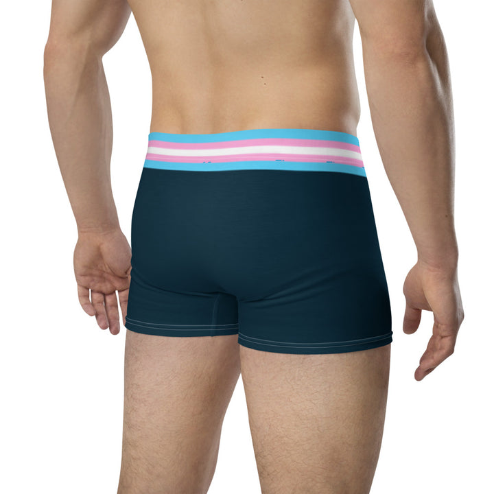 Trans Pride Flag Trim Boxer Briefs Underwear The Rainbow Stores