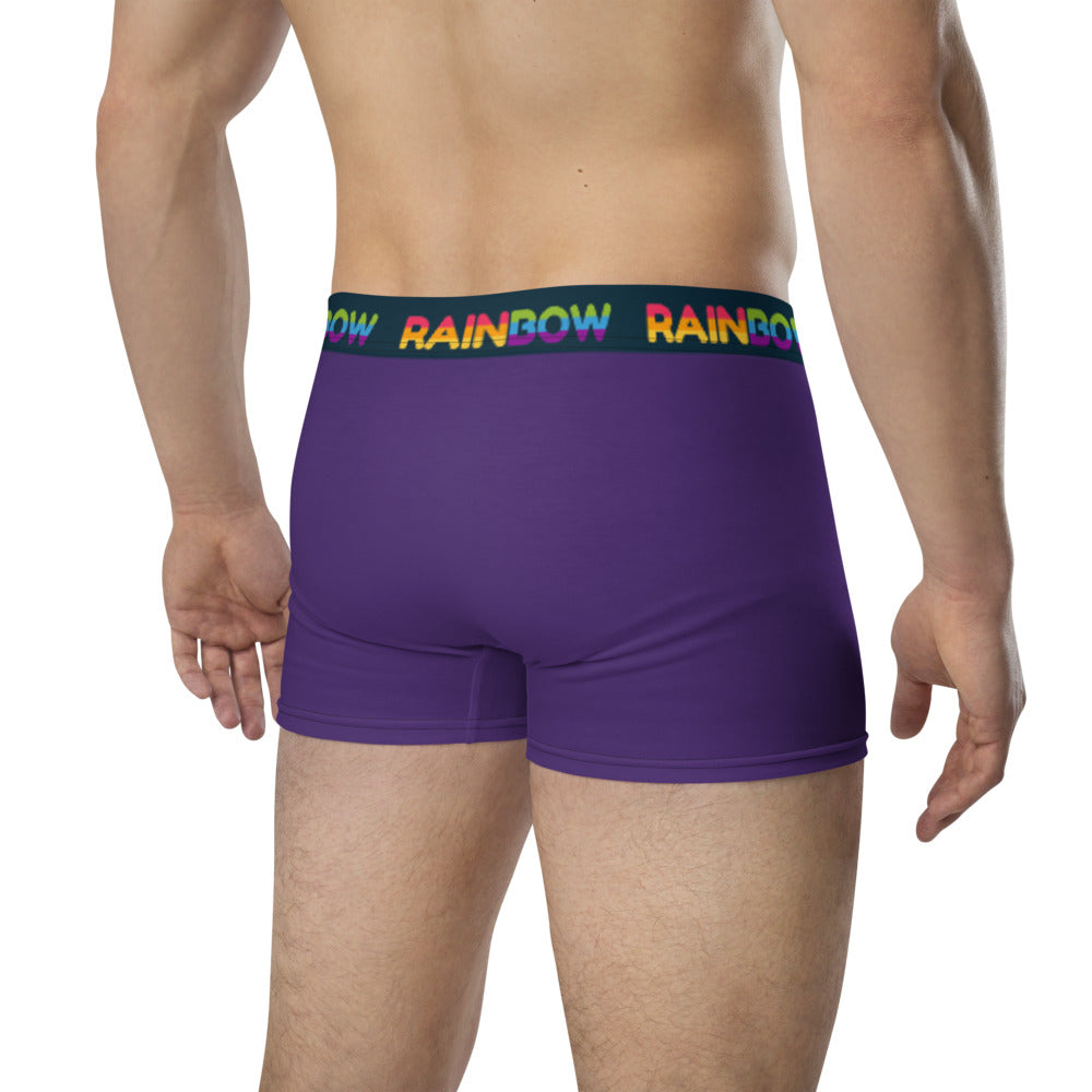 Rainbow Purple Boxer Briefs Underwear The Rainbow Stores