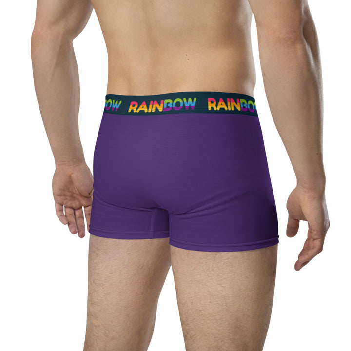 Rainbow Purple Boxer Briefs Underwear The Rainbow Stores