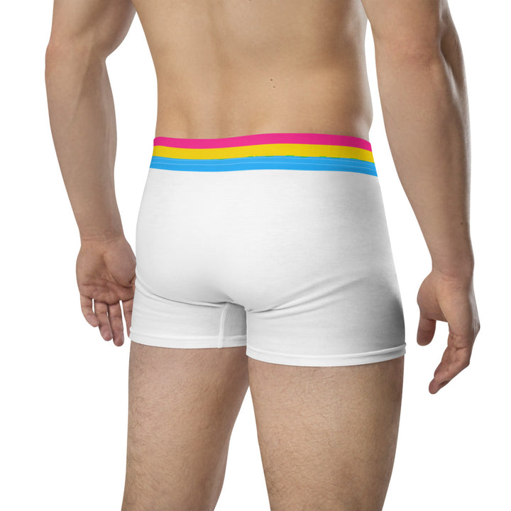 Pansexual Flag Trim Boxer Briefs Underwear The Rainbow Stores