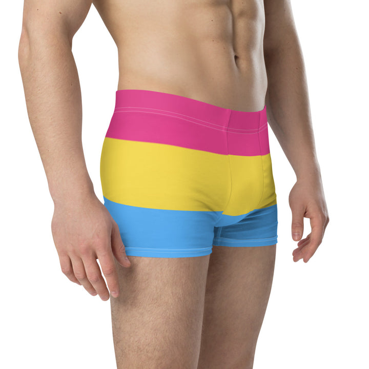 Pansexual Pride Flag Boxer Briefs Underwear The Rainbow Stores