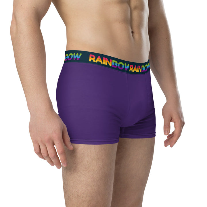 Rainbow Purple Boxer Briefs Underwear The Rainbow Stores