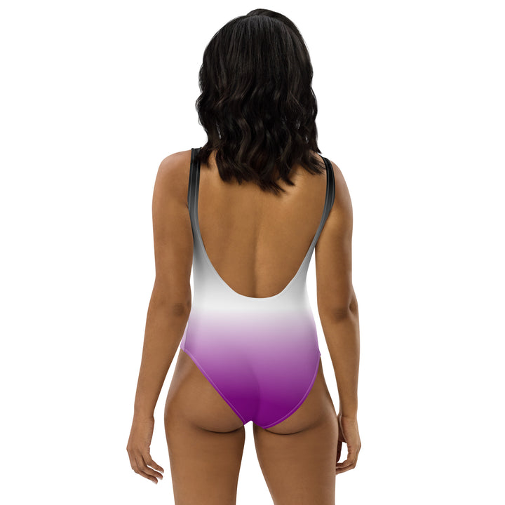 Asexual Graduated Colours One-Piece Swimsuit Swimwear The Rainbow Stores