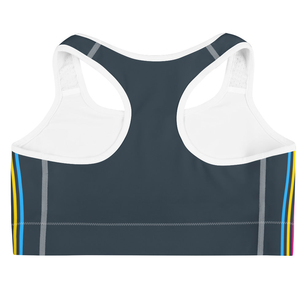 Pansexual Pride Flag Separated Stripes Sports Bra Sports Bras The Rainbow Stores