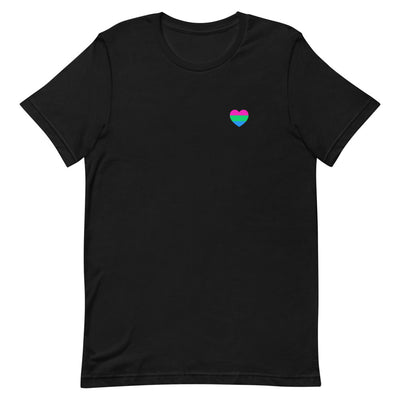 Polysexual Pride Flag Small Heart T-Shirt T-shirts The Rainbow Stores